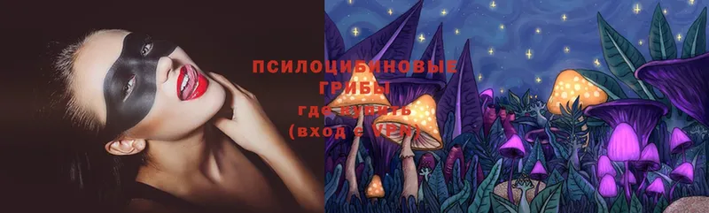 где найти   Калтан  Галлюциногенные грибы Psilocybe 